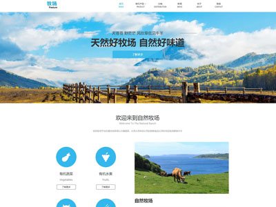 经历过asp到asp.net再到ph